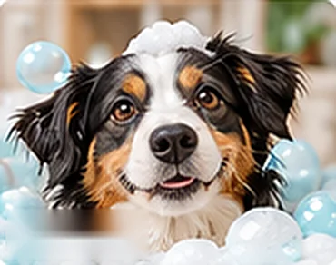Pies podczas kąpieli w pianie — SPA PSA Pies podczas kąpieli w pianie — SPA PSA
