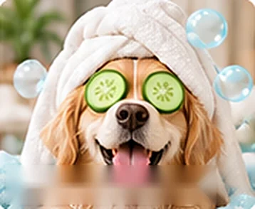 Zadowolony psiak po wizycie w SPA PSA Zadowolony psiak po wizycie w SPA PSA